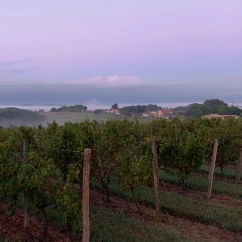 Dégustation de vin dans les Landes