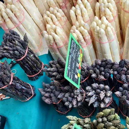 asperge du Blayais