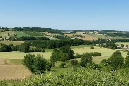Gascogne
