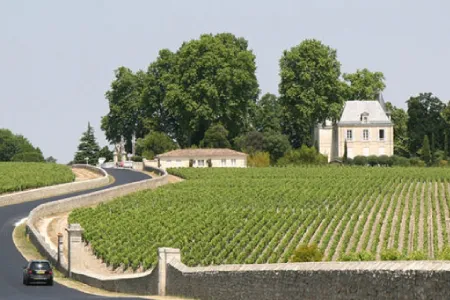 Vignes de St-Emilion