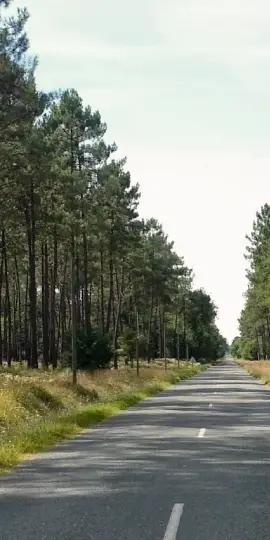 venir dans les landes
