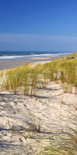 Tourisme et handicap en Gironde