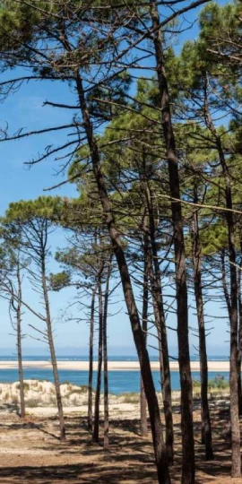 Tourisme et handicap dans les Landes