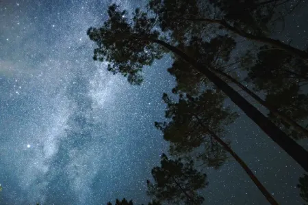 nuit dans les Landes