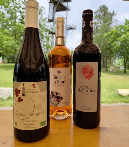 vin de Domme