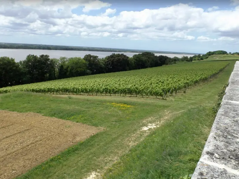 Route de la corniche fleurie