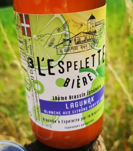 Brasseries artisanales Sud-Ouest