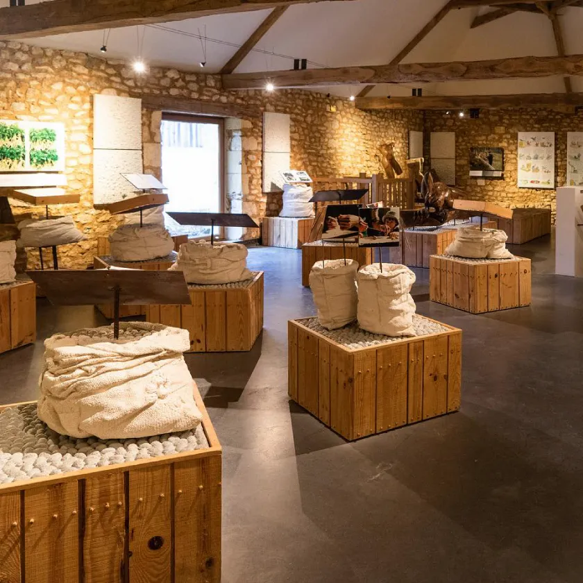 mus&eacute;es Dordogne