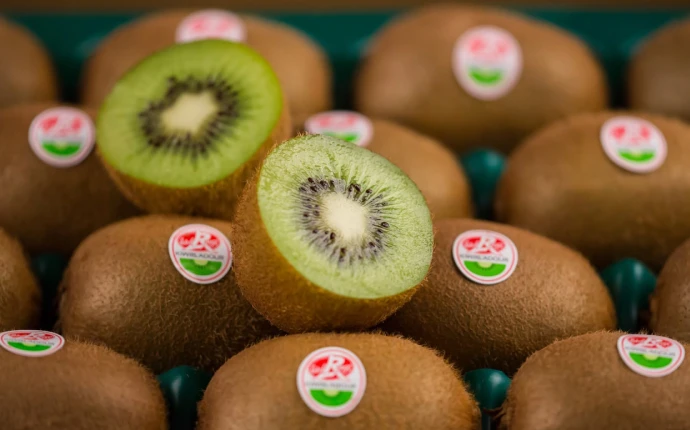 Kiwis de l'Adour